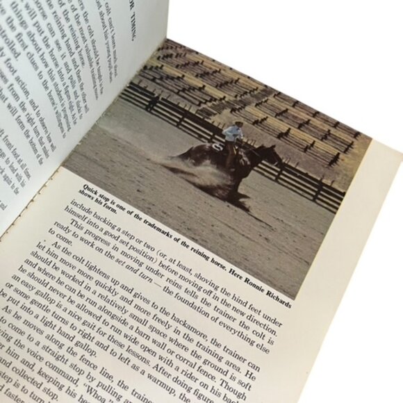 How to Train a reining Horse - Picture 3 of 3